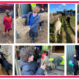 5s to 13s Farmyard Fun!