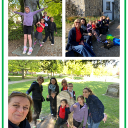 Spot the Animal Walk!