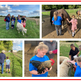 Farmyard Frolics!